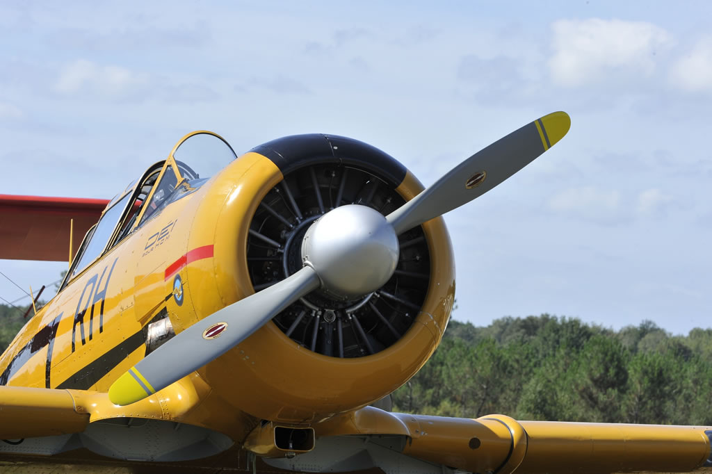 Nose view of T-6 Texan, Registration F-AZIB, Belvès, France Nose view of T-6 Texan, Registration F-AZIB, Belvès, France